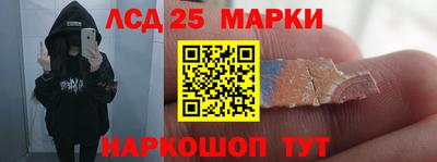 стафф Гай
