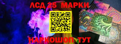 стафф Гай