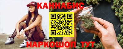 стафф Гай