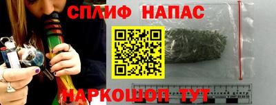 стафф Гай
