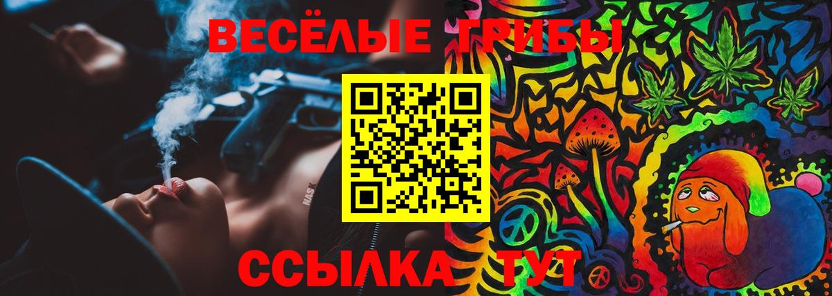 Псилоцибиновые грибы прущие грибы Бутурлиновка